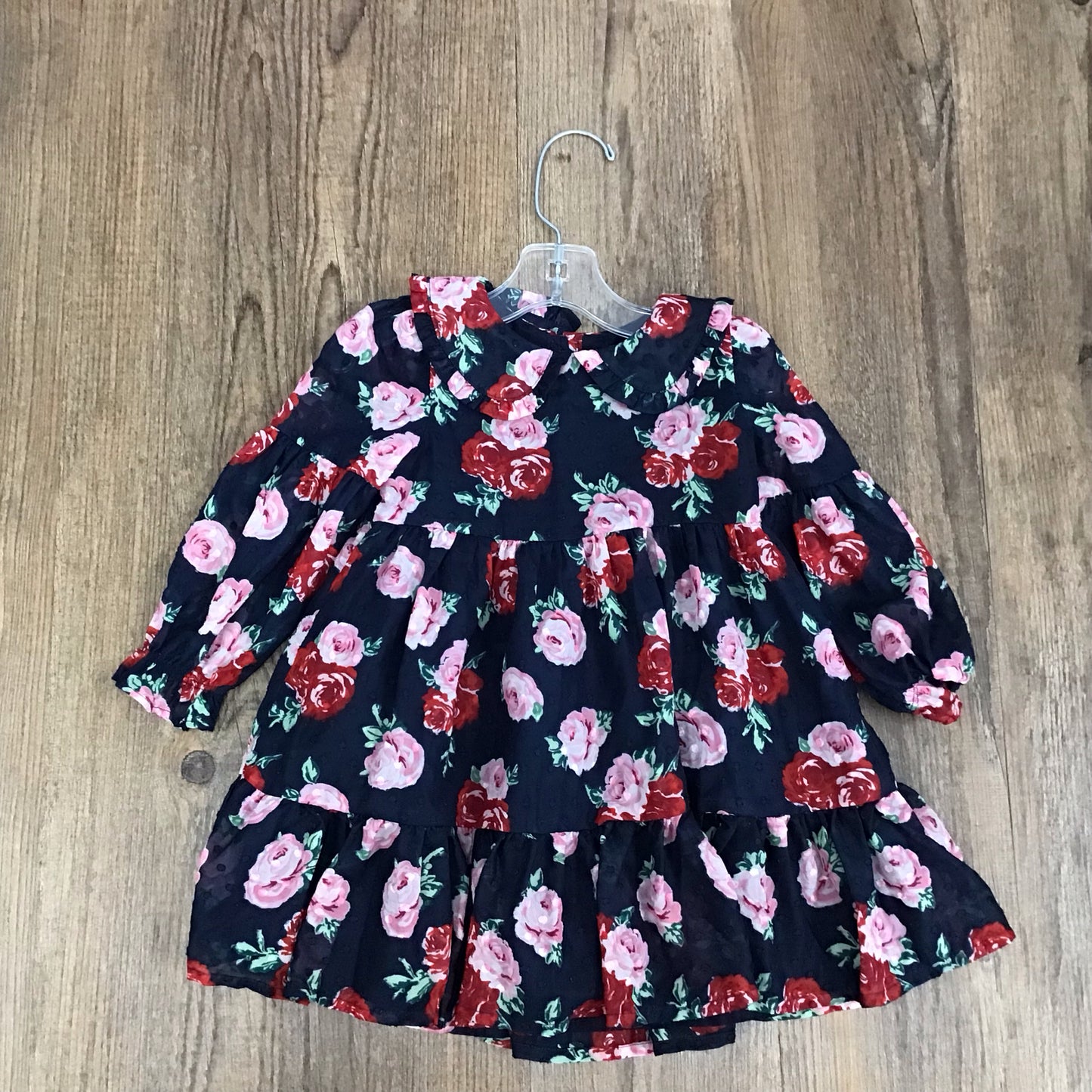 Janie and Jack Kids Size 2T Dress