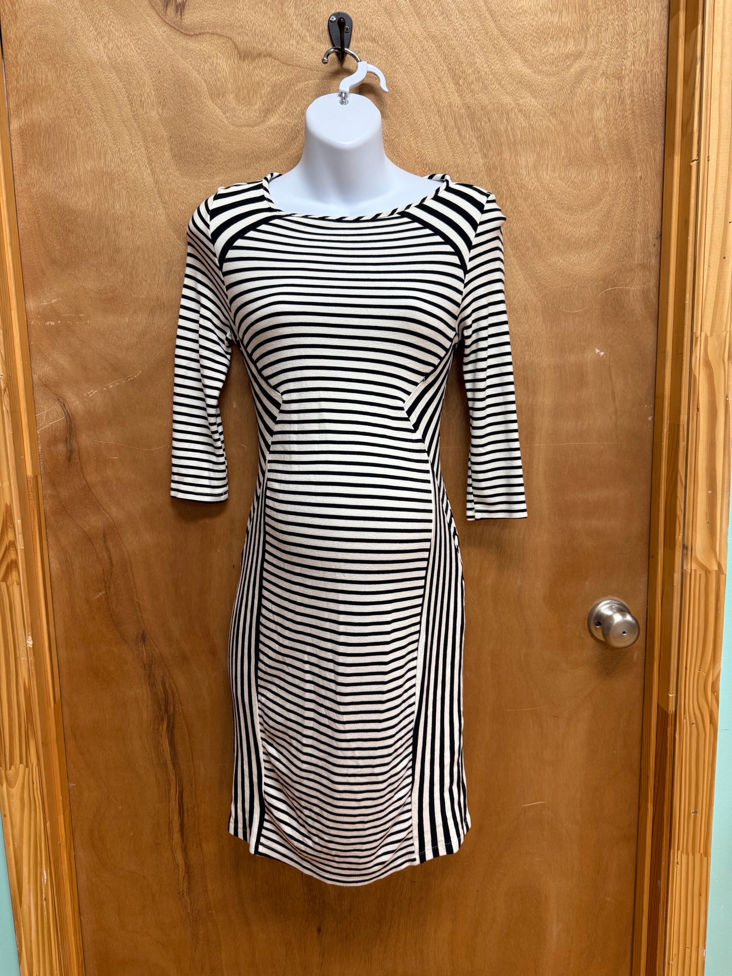 Pea in the Pod Maternity Size Small Dress