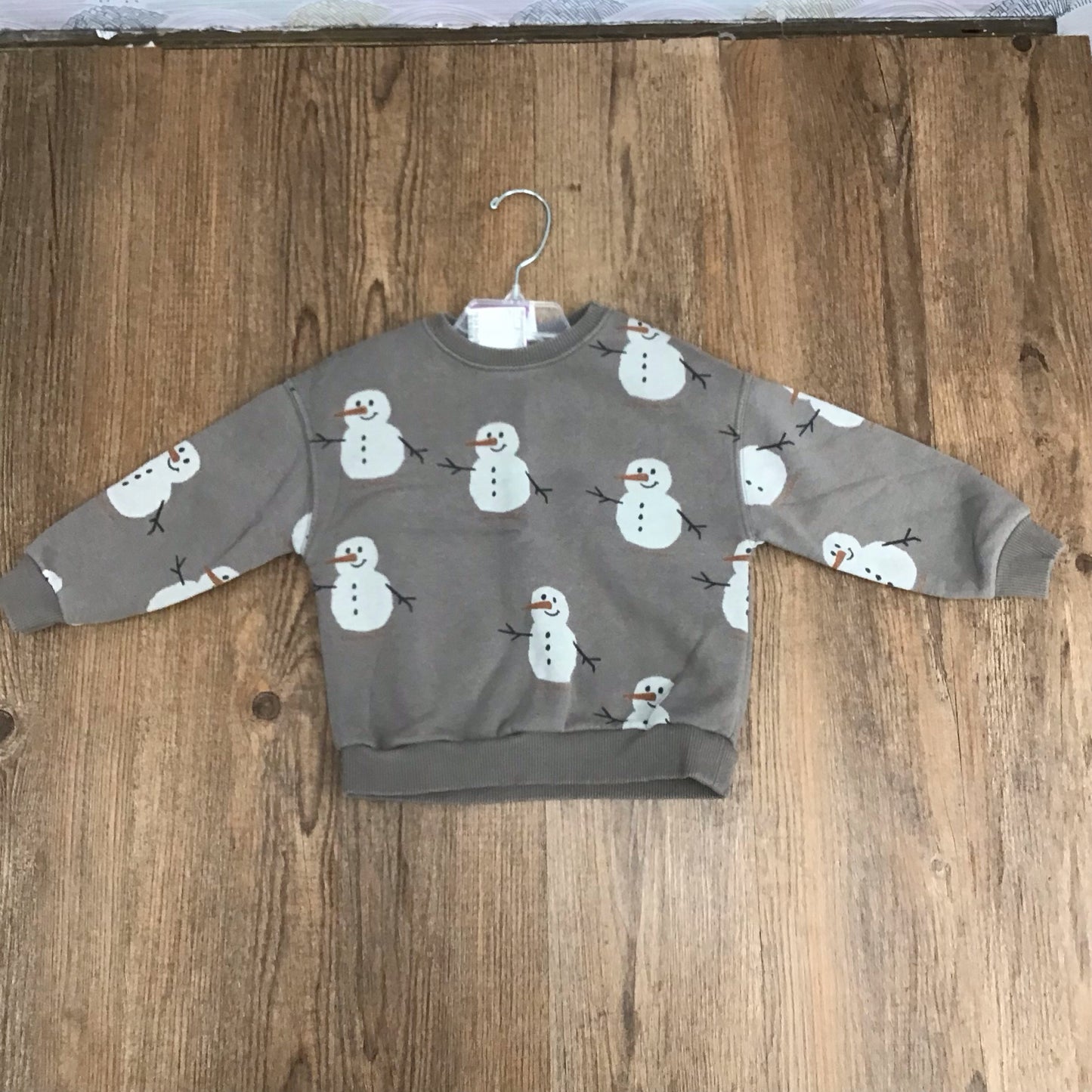 Infant Size 18-24 Month Zara Hoodie/Sweatshirt