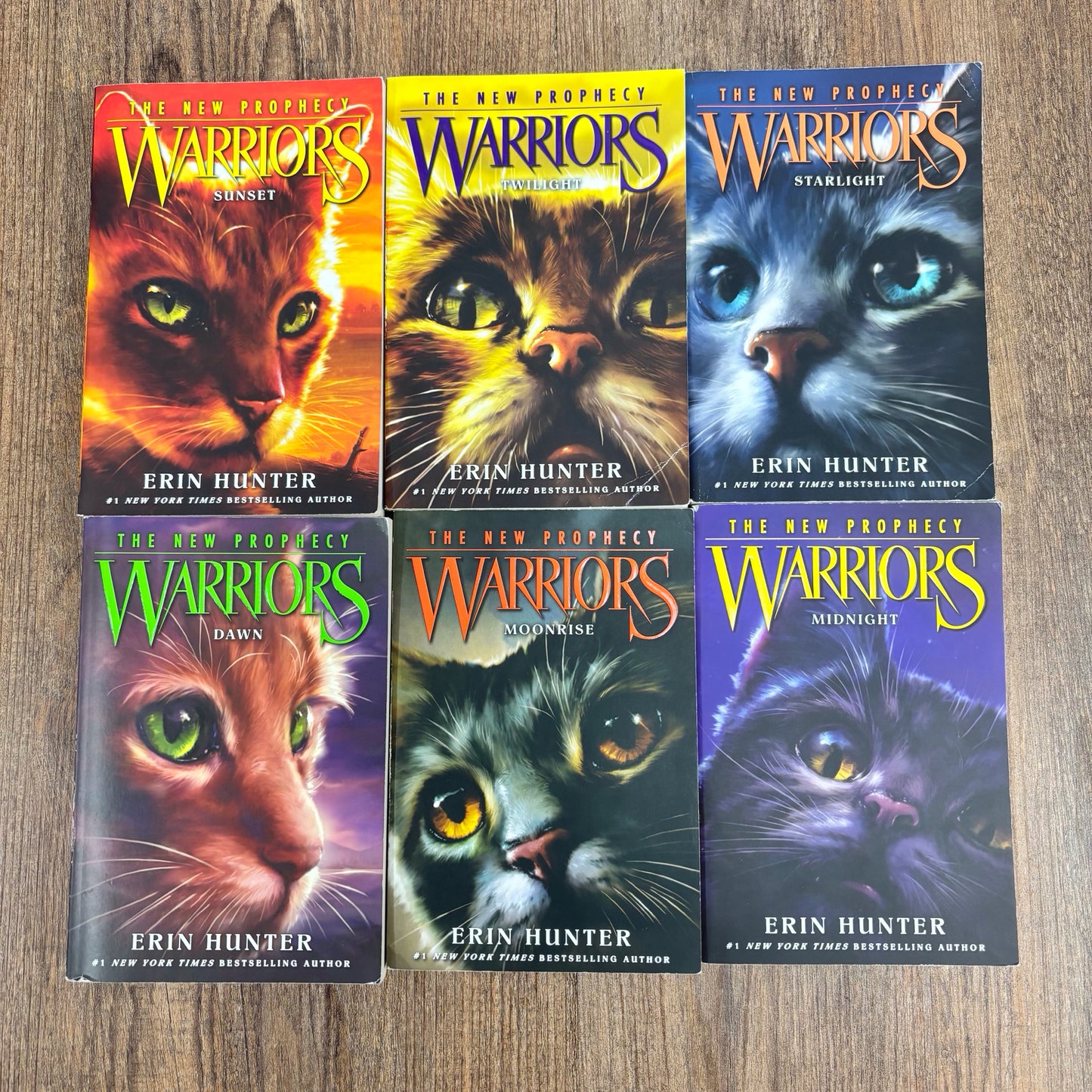 Warriors The New Prophecy Set