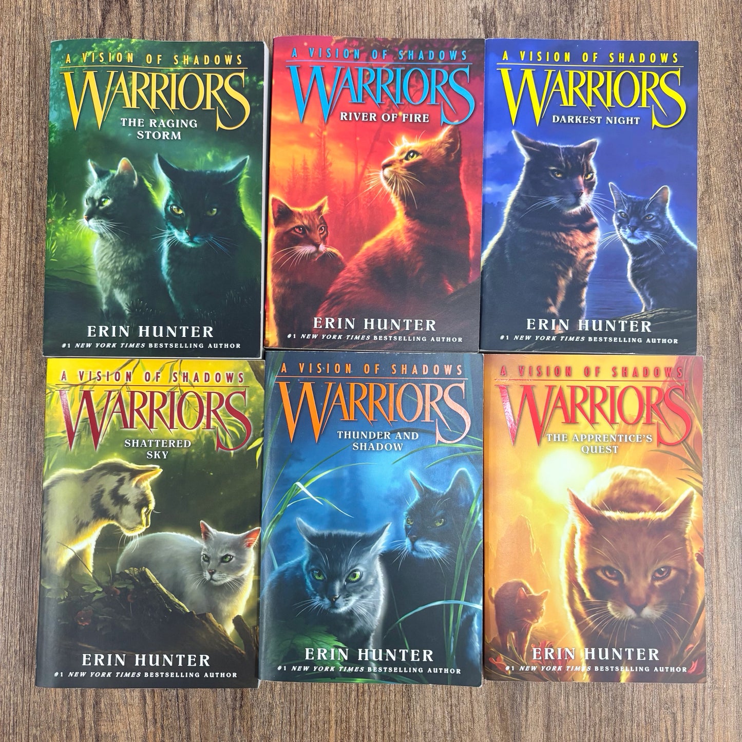 Warriors A Vision Of Shadows Set