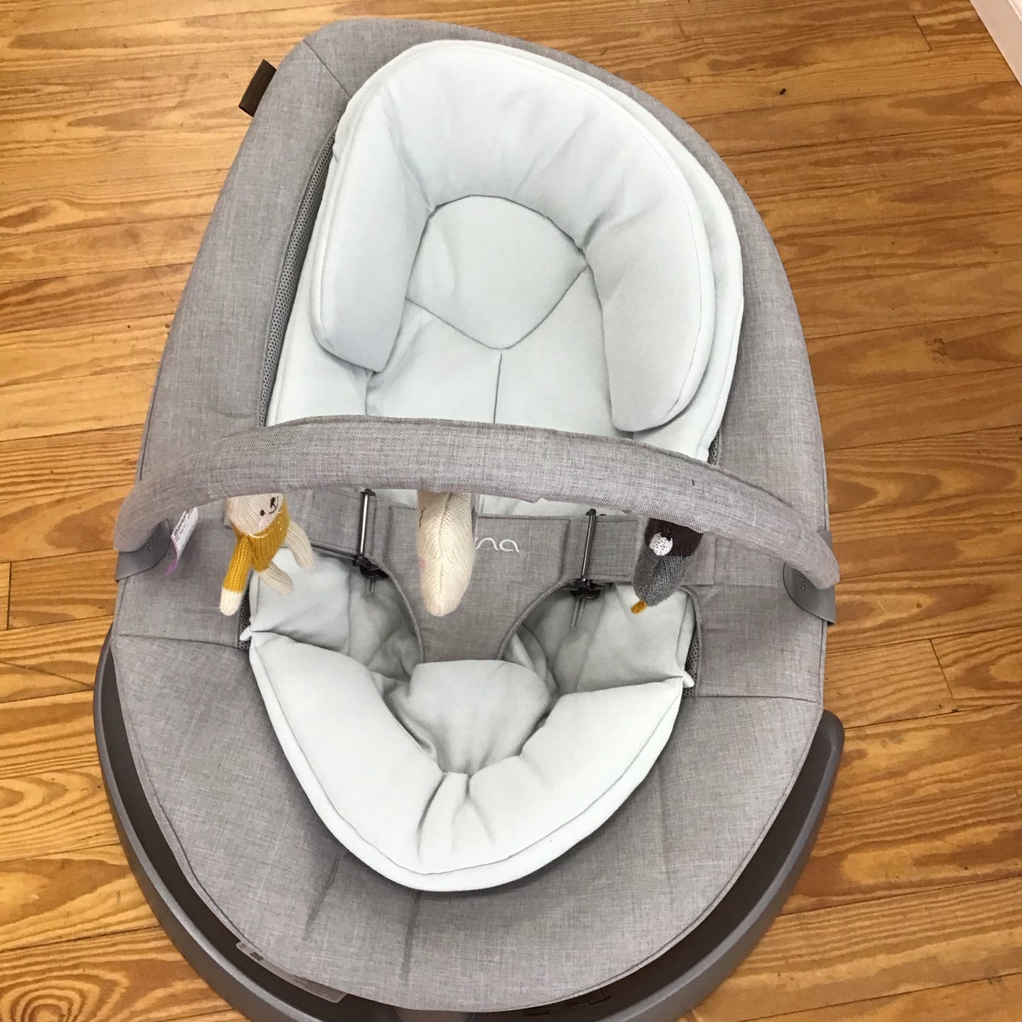 Nuna Leaf - This Item Does NOT Ship