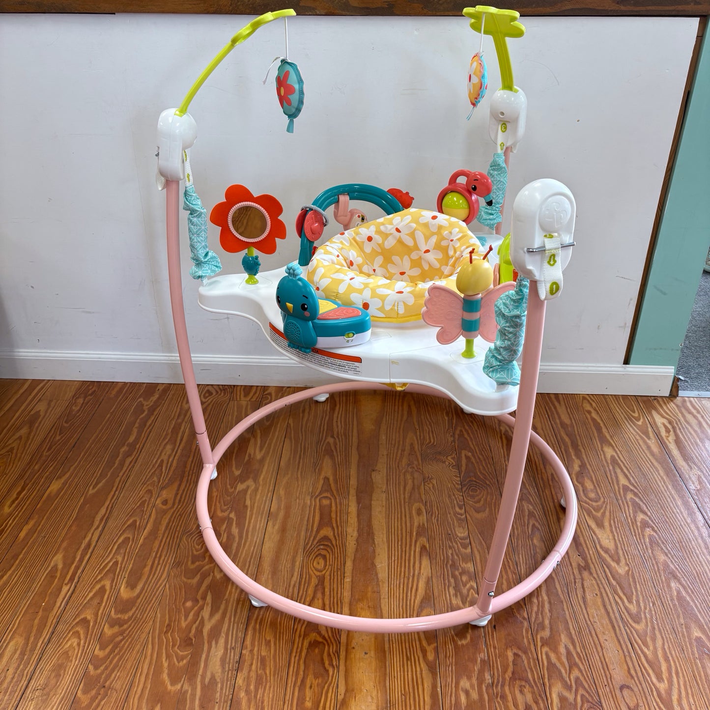 Fisher Price Jumperoo Fisher Price This Item can NOT be shipped