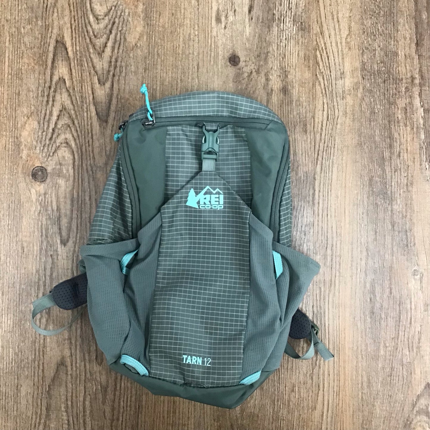REI Tarn 12 Back Pack