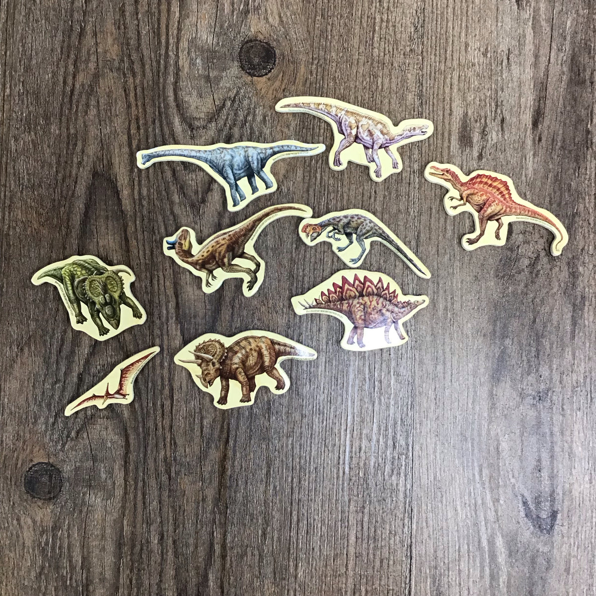 Magnetic Toys