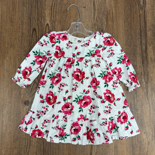 Gap Kids Size 2T Dress