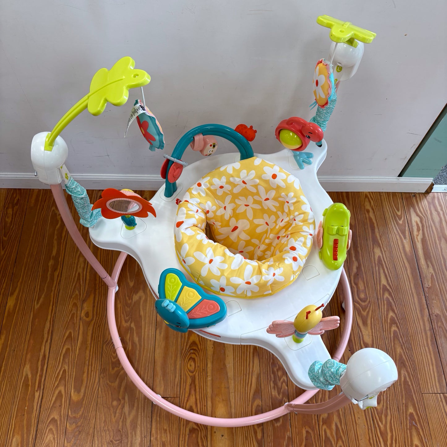 Fisher Price Jumperoo Fisher Price This Item can NOT be shipped