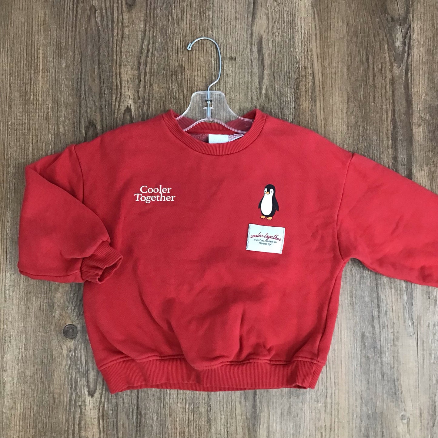 Zara Kids Size 5/5T Sweatshirt