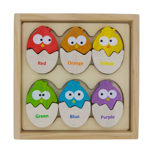 Bilingual Color Matching Wood Puzzle