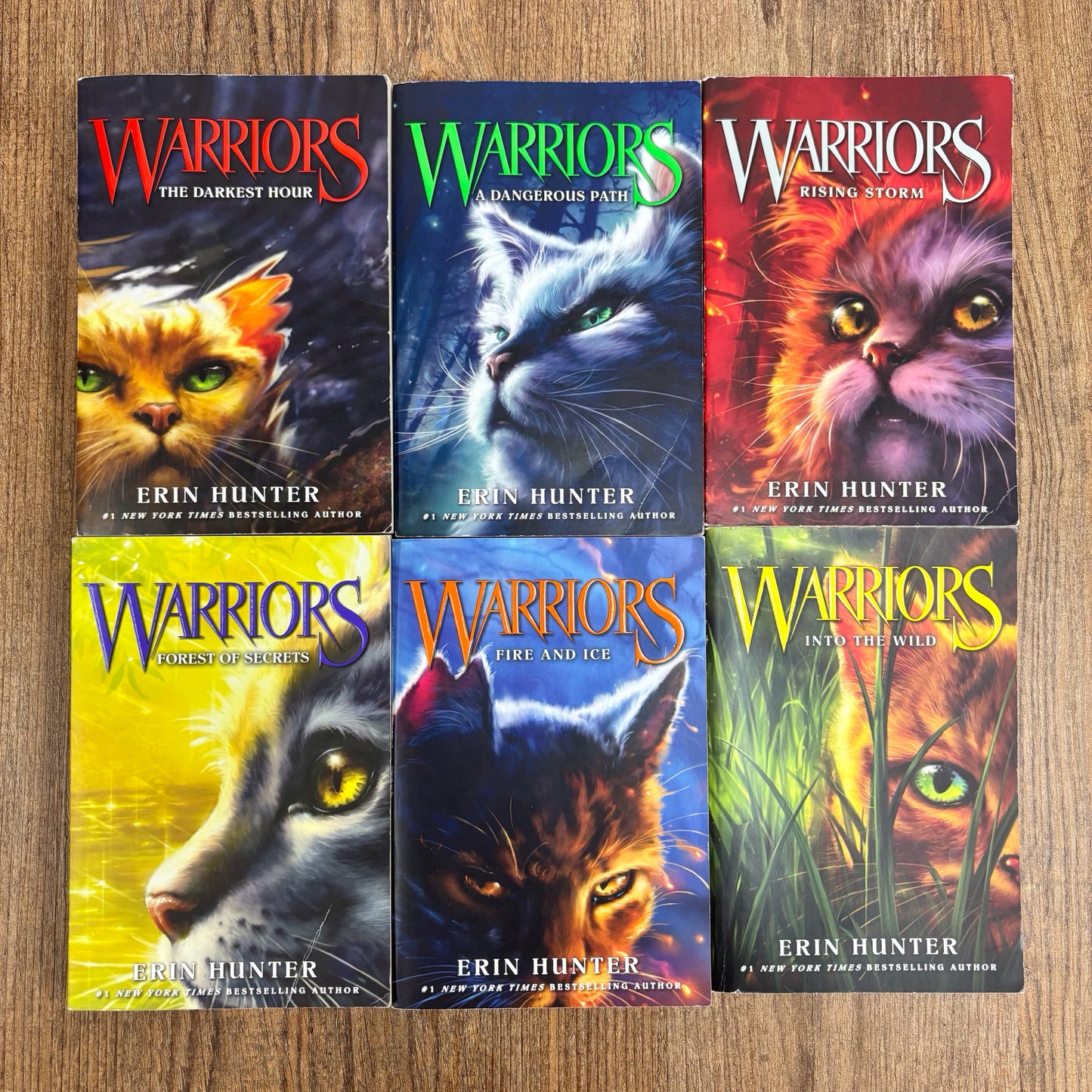 Warriors The Prophecy Begins Set