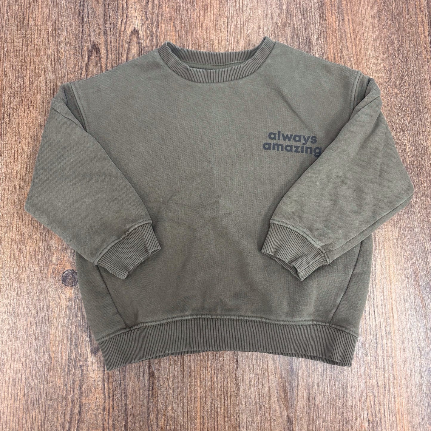 Zara Kids Size 3/4 Sweatshirt