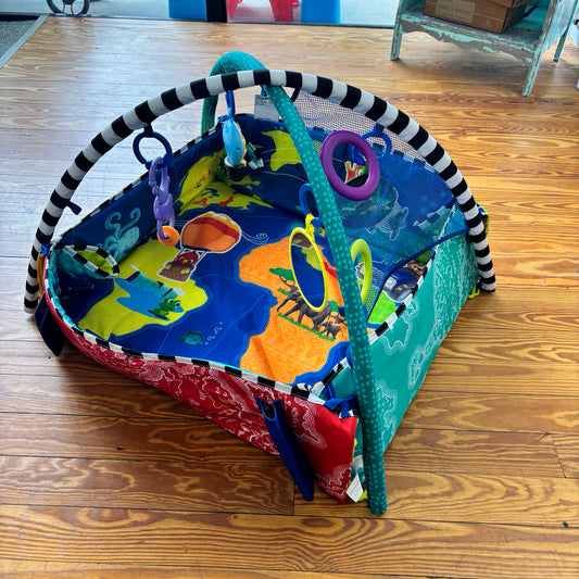 Baby Einstein Play Mat With Sides  this item does NOT ship