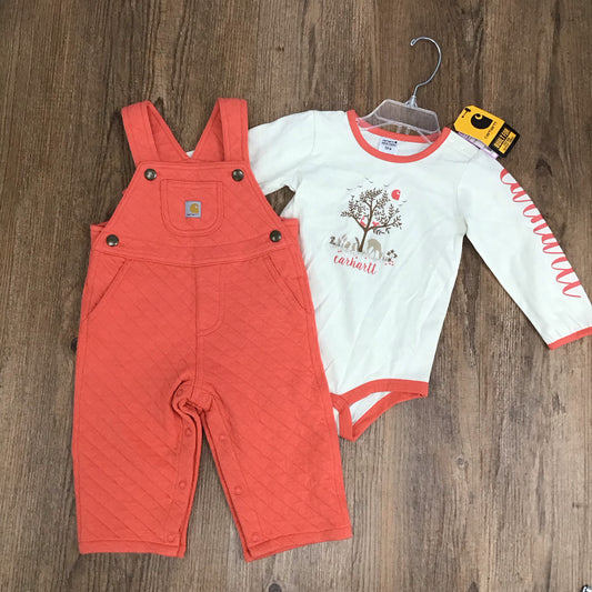 Carhartt Outfit 2 Piece Size 12 Month