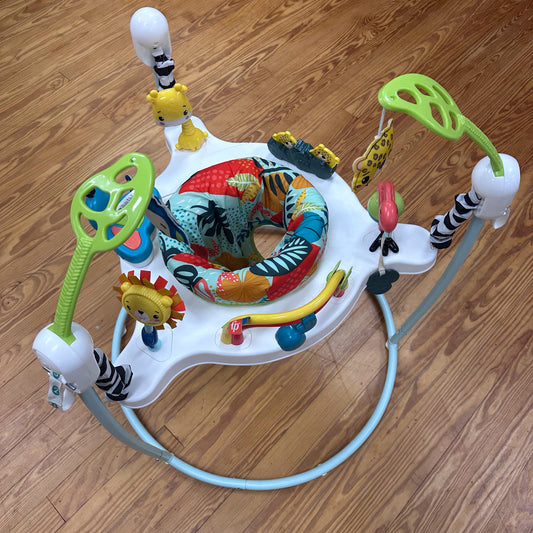 Fisher Price Jumperoo Fisher Price "Dosen't Ship" Local Pickup Only