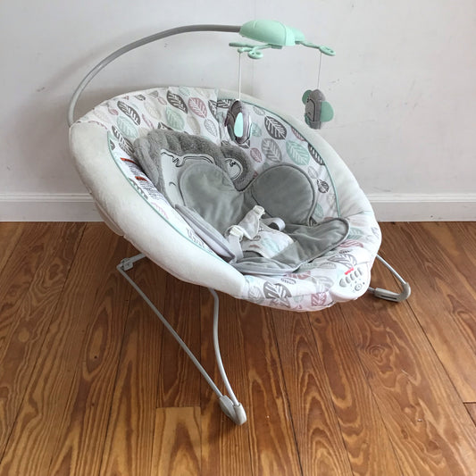 Fisher Price Deluxe Bouncy Seat Local Pickup Only DOES NOT SHIP