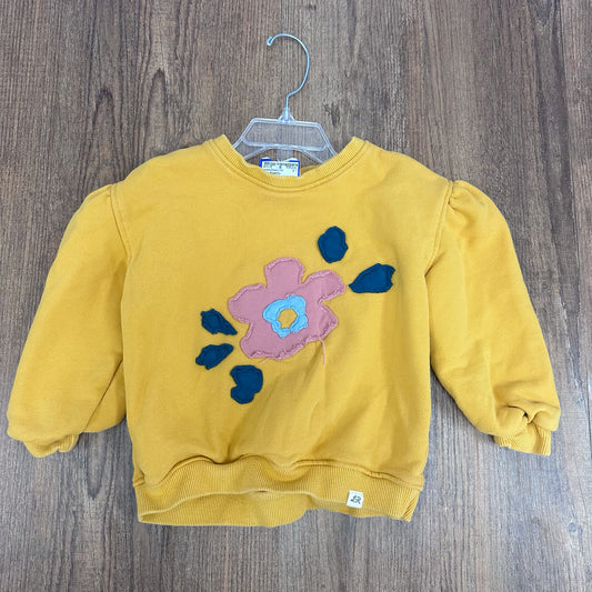 Little Road Co Kids Size 2T Hoodie/Sweatshirt