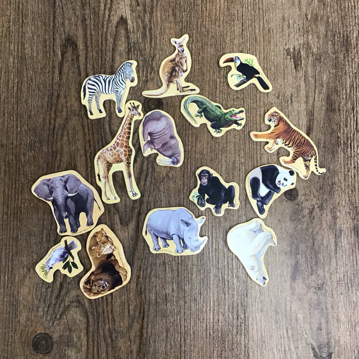 Magnetic Toys