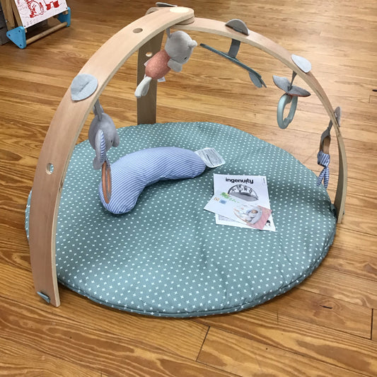 Ingenuity Activity Gym - This Item Does NOT Ship