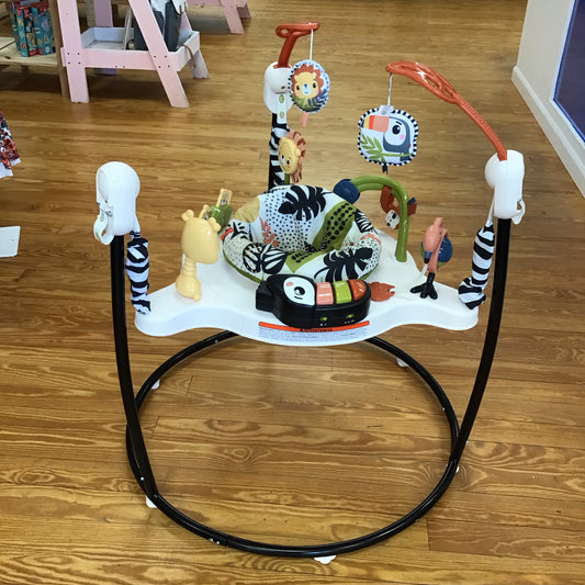 Fisher Price Jumperoo  - This Item Does NOT Ship