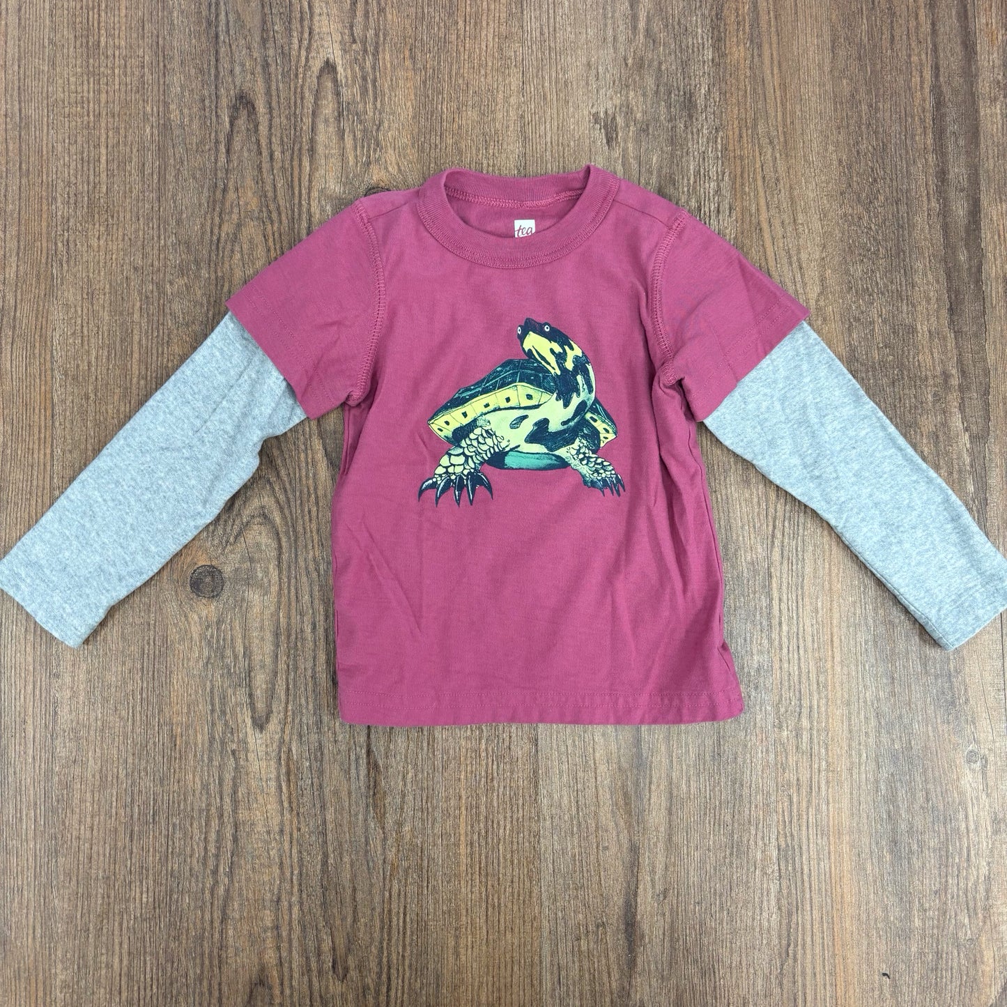 Tea Kids Size 2T Tee Shirt