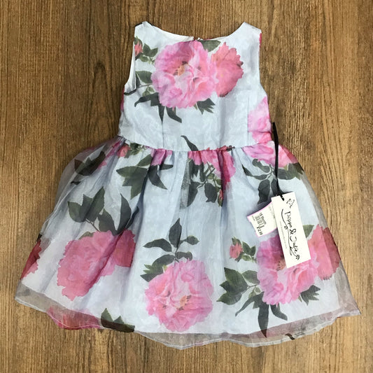 NEW Pippa & Julie Size 18 Month Floral Dress