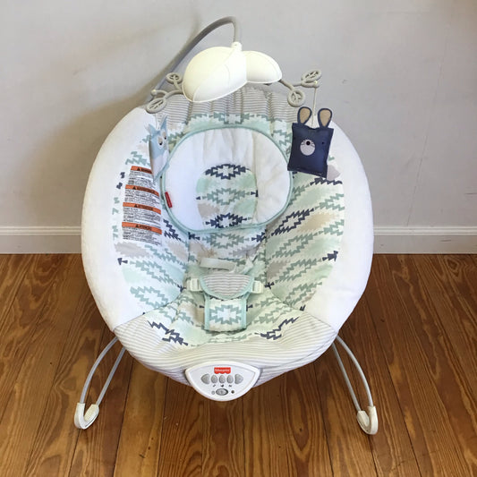 Fisher Price Deluxe Bouncy Seat - This Item Does NOT ship